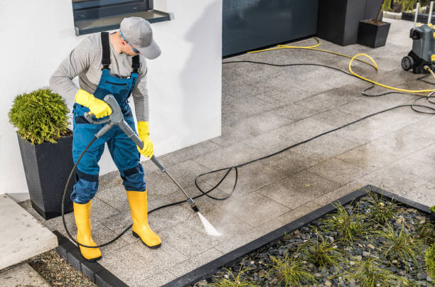 Best Pressure Washing Near Me  in Lexington, IL